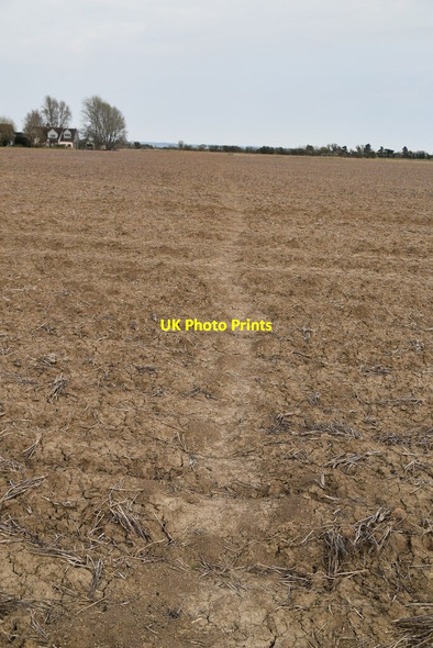 Photo 6"x4" Footpath across field Appledore\/TQ9529 c2021