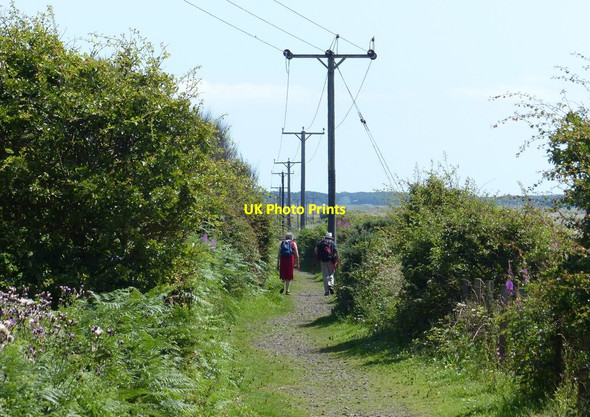 Photo 6"x4" Fife Coastal Path at Temple Hill Kirkton of Largo or Upper Largo c2019