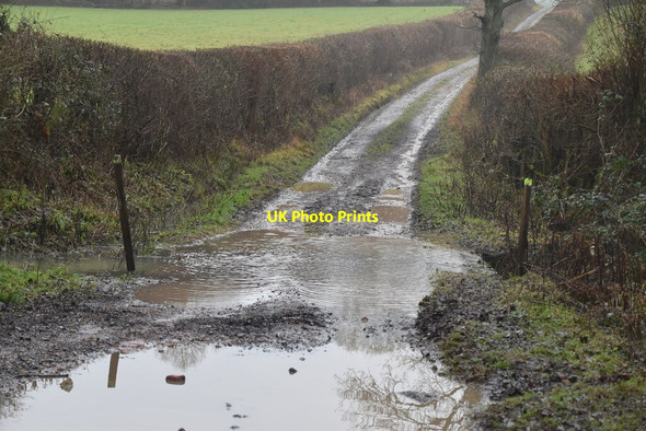 Photo 6"x4" Ford, Obriss Farm Puddledock\/TQ4650 c2021