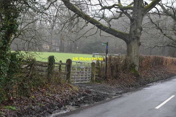 Photo 6"x4" Footpath off Mapleton Rd Crockham Hill c2021