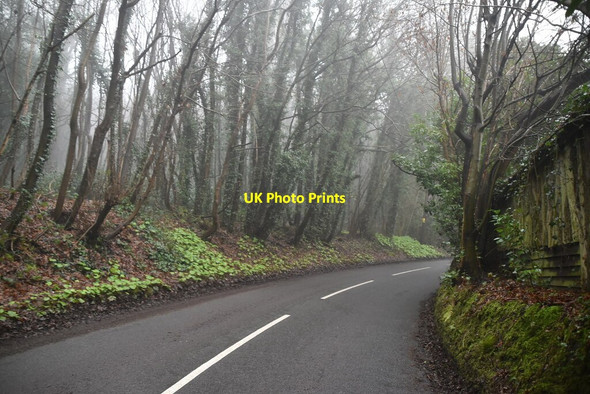 Photo 6"x4" Mapleton Rd French Street c2021
