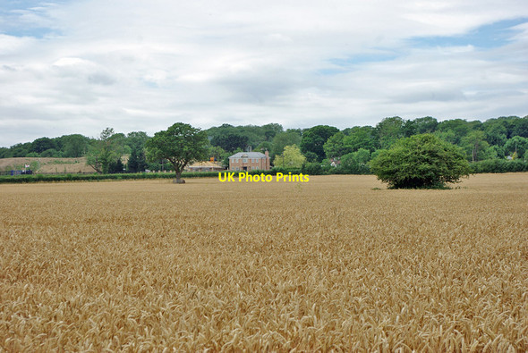 Photo 6"x4" New house on Reigate Road, 2010 Horley\/TQ2843 c2010