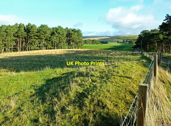 Photo 6"x4" Roadside cairn near Crawford Midlock c2021