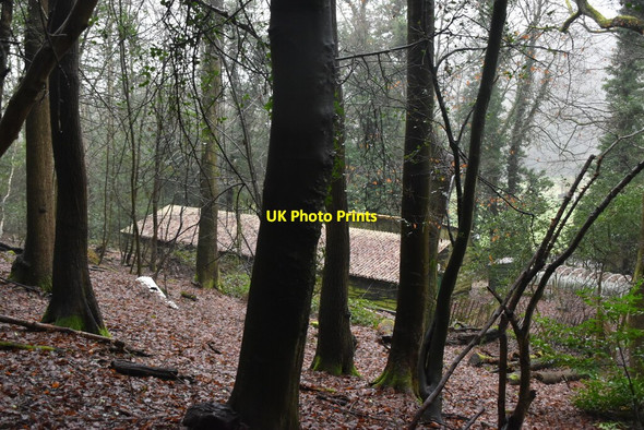 Photo 6"x4" Building in Styants Wood Styants Bottom c2021