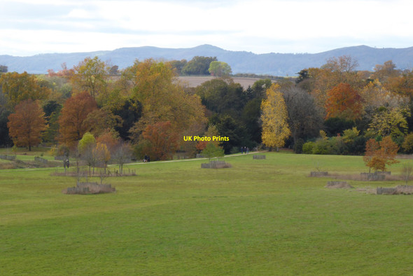Photo 6"x4" Autumn colours at Croome Park Dunstall Common c2021