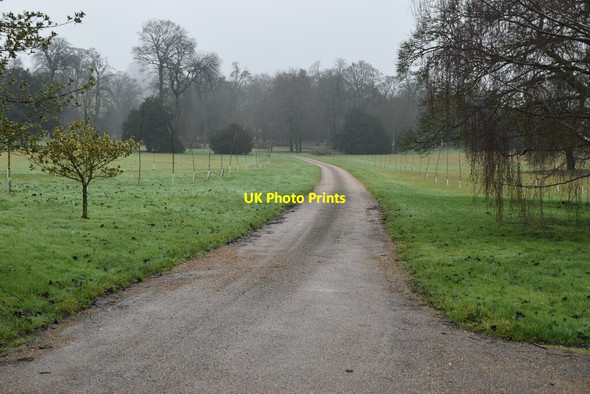 Photo 6"x4" Track, St Clere estate Heaverham c2021