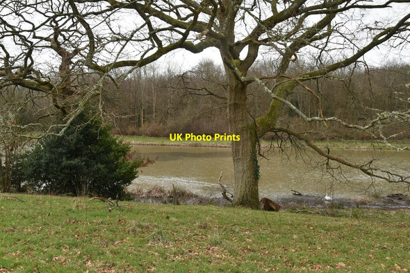 Photo 6"x4" Pond Bay Battle\/TQ7416 c2021 P1