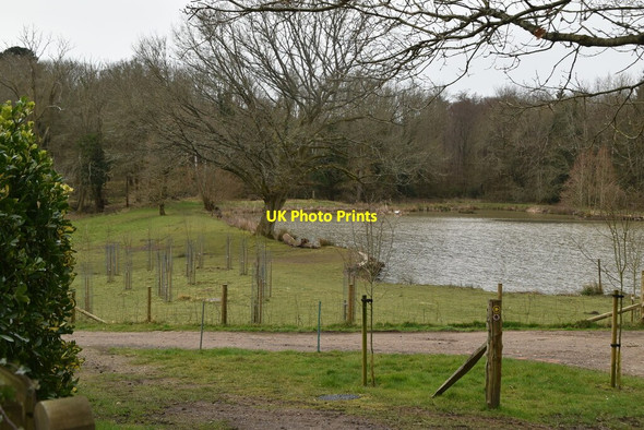 Photo 6"x4" Pond Bay Battle\/TQ7416 c2021