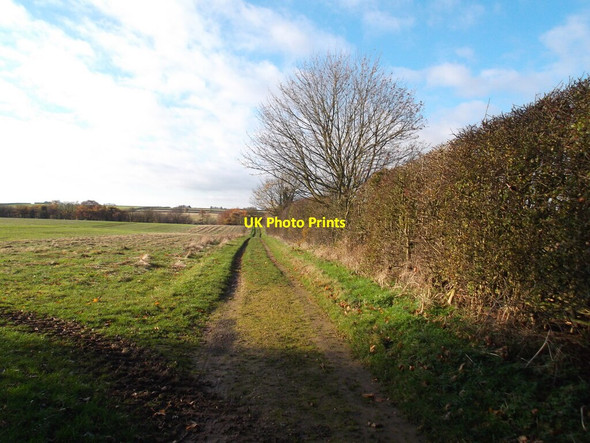 Photo 6"x4" Fieldside path Great Tows c2021