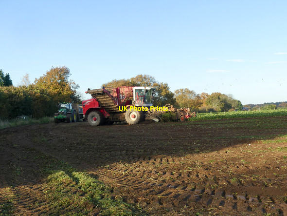 Photo 6"x4" Sugar beet harvester North Walsham c2021
