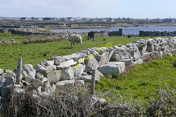 Photo 6"x4" An Bh\u00c3\u00a1nrainn Bh\u00c3\u00a1n Theas (Banraghbaun South) Cartron c2009 P1