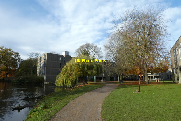 Photo 6"x4" Lake at Derwent Heslington c2021