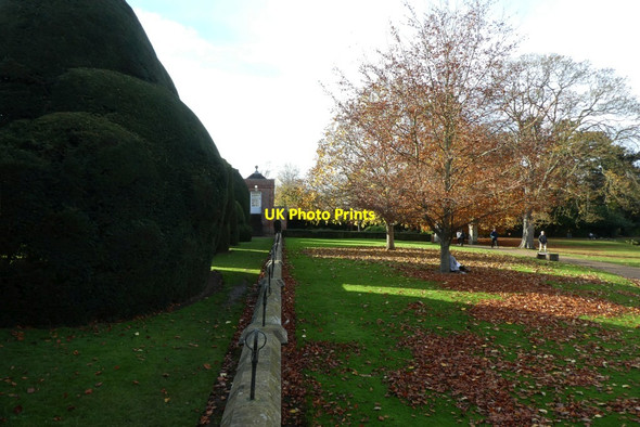Photo 6"x4" Looking towards the Quiet Place Heslington c2021