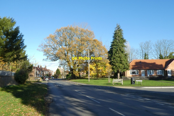 Photo 6"x4" Stockton Lane and Stone Riggs Stockton on the Forest c2021