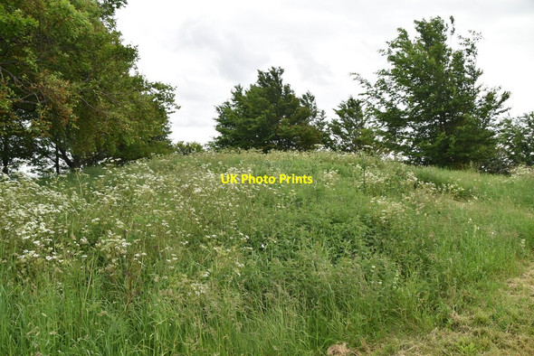 Photo 6"x4" Tumulus, Gallows Hill Odsey c2021