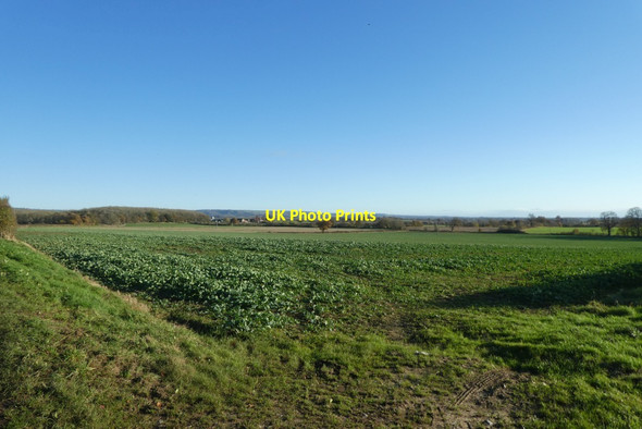 Photo 6"x4" Fields west of Wood Farm Bossall c2021