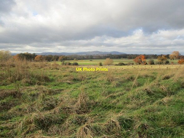 Photo 6"x4" View over Croome Park Dunstall Common c2021
