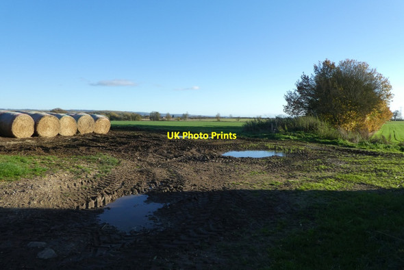 Photo 6"x4" Bales at Butcher Closes Bossall c2021
