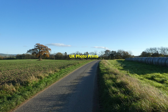 Photo 6"x4" Lane near Howlbecks Bossall c2021