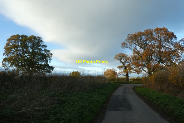Photo 6"x4" Batts Lane Barton-le-Willows c2021