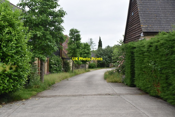 Photo 6"x4" The Green Charney Bassett c2021
