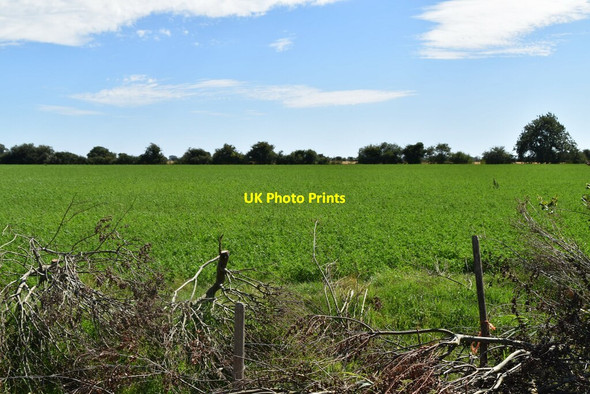 Photo 6"x4" Arable field Ruckinge c2020