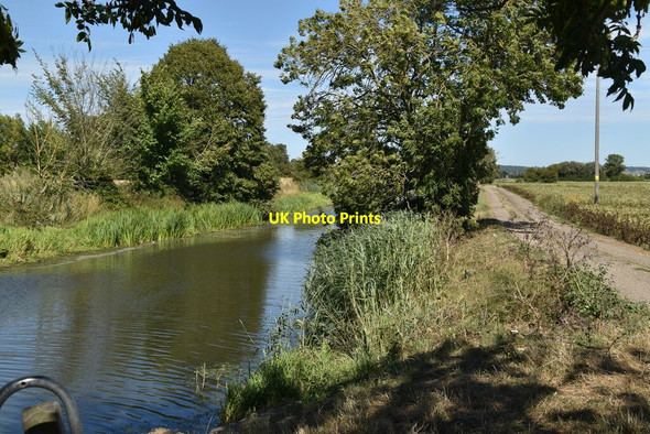 Photo 6"x4" Royal Military Canal Hamstreet c2020