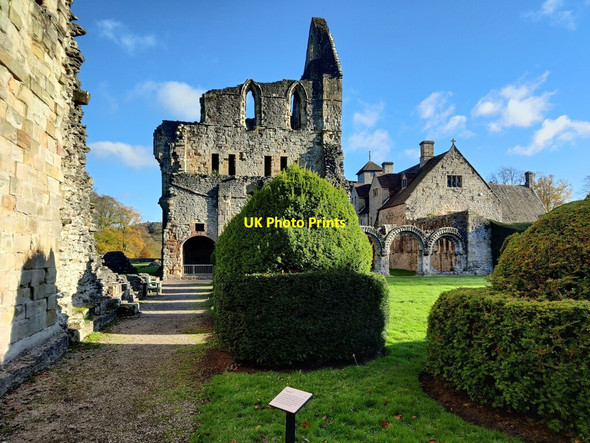 Photo 6"x4" Topiary in the Cloister at Much Wenlock Priory Much Wenlock c2021