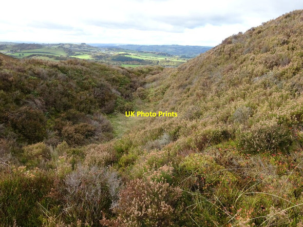 Photo 6"x4" Southern ramparts of Castle Ring fort on The Stiperstones Stiperstones\/SJ3600 c2021