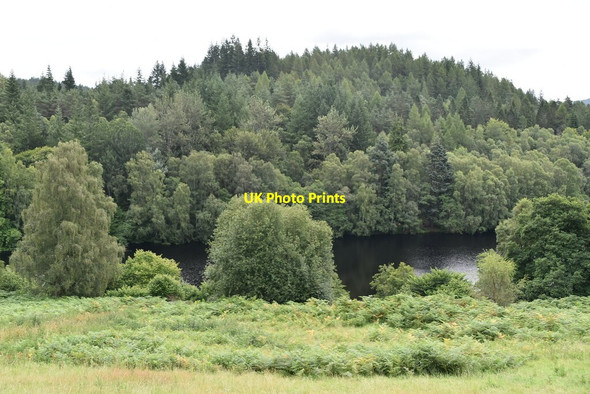 Photo 6"x4" Loch Faskally and Dunmore Hill Faskally c2021
