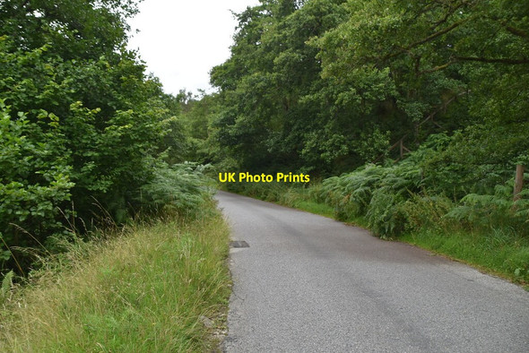 Photo 6"x4" Minor road Faskally c2021
