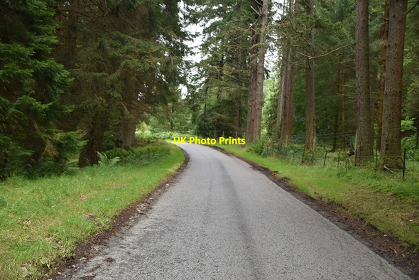 Photo 6"x4" Minor road by Loch Faskally Pitlochry c2021