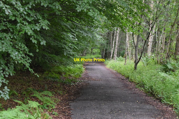 Photo 6"x4" Old road, Balmore Pitlochry c2021 P1