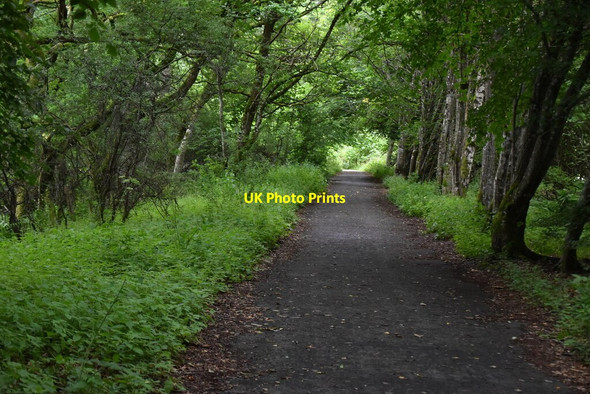 Photo 6"x4" Old road, Balmore Pitlochry c2021 P2