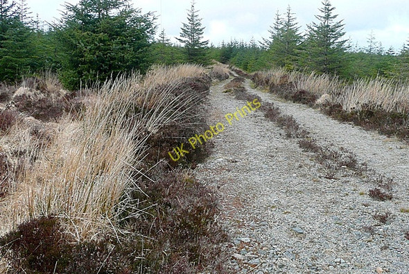 Photo 6"x4" Leitir Creamha Rua (Lettercraffroe) Oughterard c2009 P1