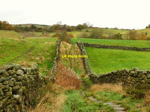 Photo 6"x4" Stone causeway near Eldwick Reservoir  Bingley\/SE1139 c2021