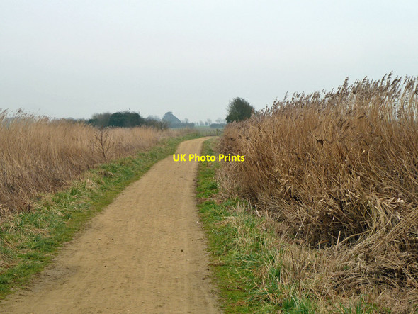 Photo 6"x4" Footpath 146 south from Barnham Saxby\/SU9603 c2012