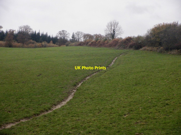 Photo 6"x4" Cow path, Joanshill Farm Checkley\/SO5938 c2021
