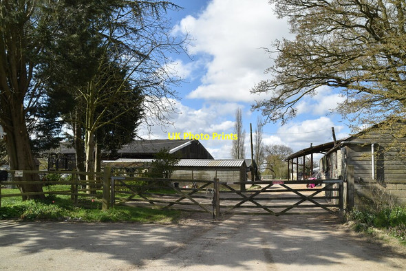 Photo 6"x4" Little Forsham Farm Great Job's Cross c2021