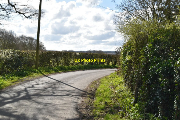 Photo 6"x4" Wassall Lane Great Job's Cross c2021