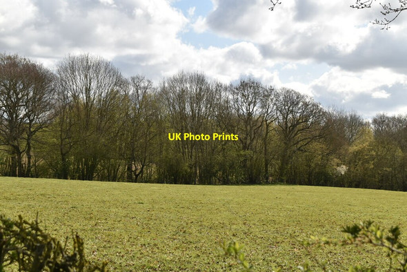 Photo 6"x4" Shallow wooded valley Great Job's Cross c2021