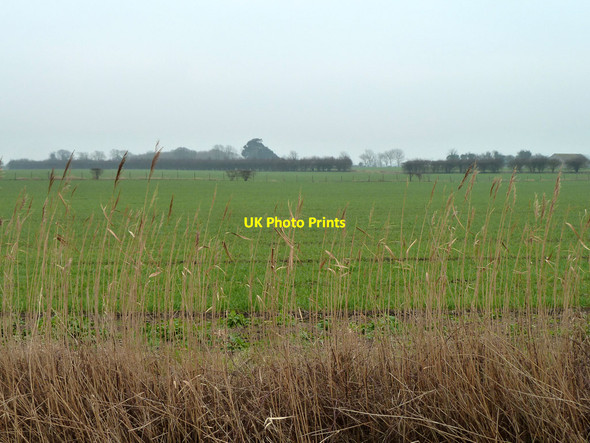Photo 6"x4" Looking from Barnham parish to Yapton parish Bilsham c2012