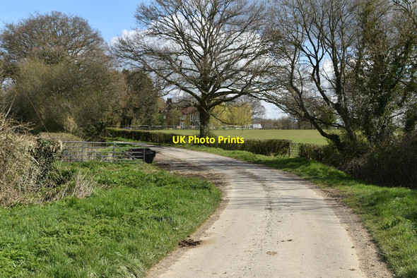 Photo 6"x4" Wassall Lane Great Job's Cross c2021 P4