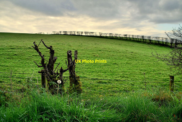 Photo 6"x4" Kiltamnagh Townland Fintona c2021