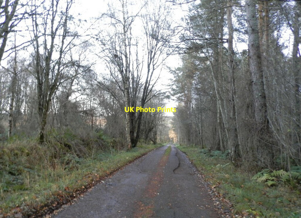 Photo 6"x4" Track to Kinrea Farm Cantraywood c2021