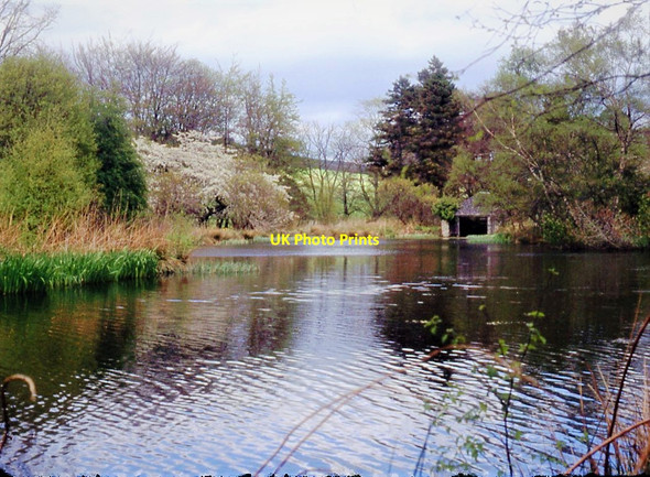 Photo 6"x4" Pond at Leith Hall Kennethmont c1994