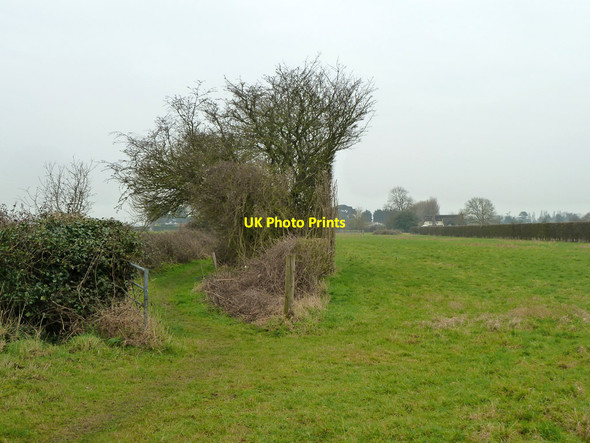 Photo 6"x4" Footpath 296_1 becomes a green lane Shripney c2012