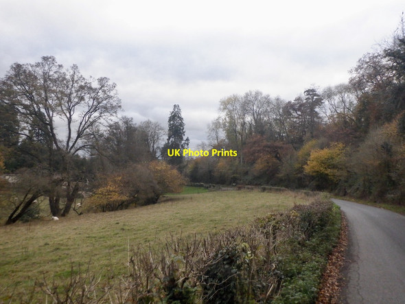 Photo 6"x4" Woolhope Road, Fownhope Common Hill\/SO5834 c2021