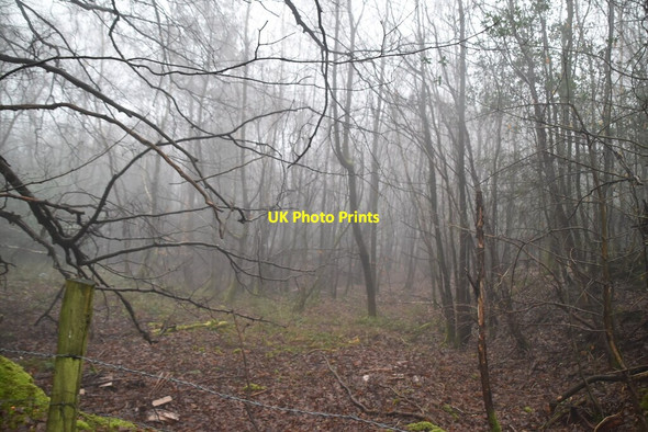 Photo 6"x4" Hosey Common French Street c2021