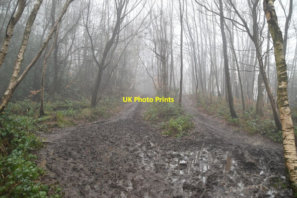 Photo 6"x4" Muddy Greensand Way French Street c2021